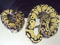 2011_06140005.JPG