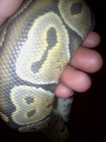 20110325094326.jpg