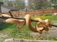 IMG_0171.jpg