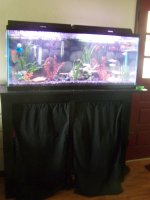 garagesalerandom 027.jpg