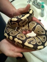20110731204412.jpg