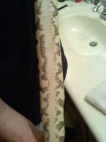 20110731204507.jpg