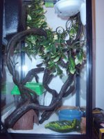 crested gecko set ups 002.jpg