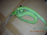 GTP0002.JPG