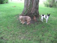 IMG_3334.jpg
