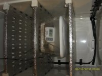 eggs n incubator 007.JPG