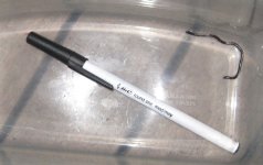 Snake and pen.jpg