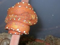 GTP 3.JPG
