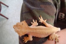 sandstonetoes2.jpg