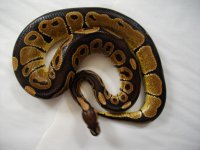 2-2-11 003.jpg