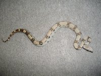 5-21-11 007.jpg