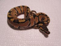 IMG_1991.JPG