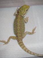 IMG_2906.jpg