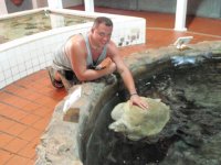Me and Sea Turtle.jpg