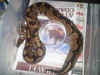 IMG00388-20111014-0045.jpg