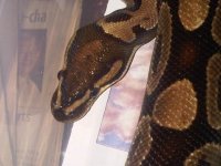IMG00389-20111014-0045.jpg