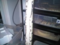 IMG00391-20111014-0046.jpg