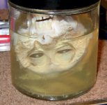 Monkeyhead.jpg