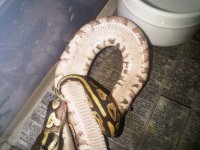 IMG00392-20111014-1956.jpg