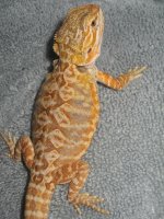female2.jpg