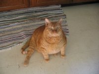 IMG_3545.jpg