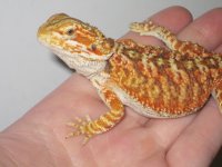 female1.jpg