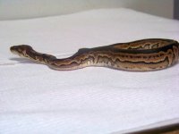 110116006-med.jpg