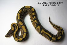 C4-1-11_Websize.jpg