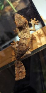 DSC00318_small.jpg