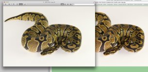 Monitor Calibrated for Photo Editing.jpg