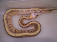 IMG_20110921_143413.jpg