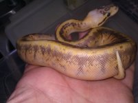 IMG_20110921_143444.jpg