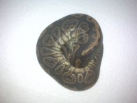 IMG00181.jpg