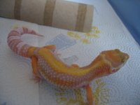 IMG_2596.JPG