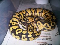 IMG00492-20111104-1835.jpg