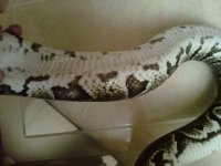 IMG00817-20111202-2235.jpg