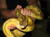IMG_2924.jpg
