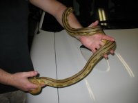 IMG_2921.jpg