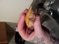 20120211_205346.jpg