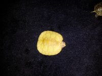 20120209_123322.jpg