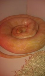 IMAG0196.jpg