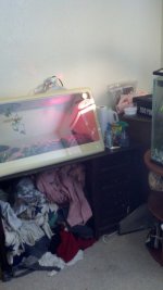 2012-02-22_12-09-16_367.jpg