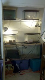 2012-02-22_12-09-30_469.jpg