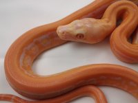 20120607_105214-1540057627.jpg