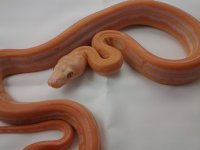 20120607_105036283560214.jpg