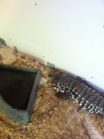 Iphone Pics 4-12-12 095.jpg