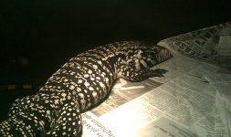 Phone Pics 046.jpg
