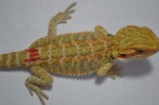 R14_6-8-2012_02.jpg