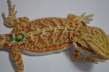G3-8-2012_18.jpg