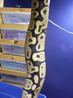 100_6141.jpg